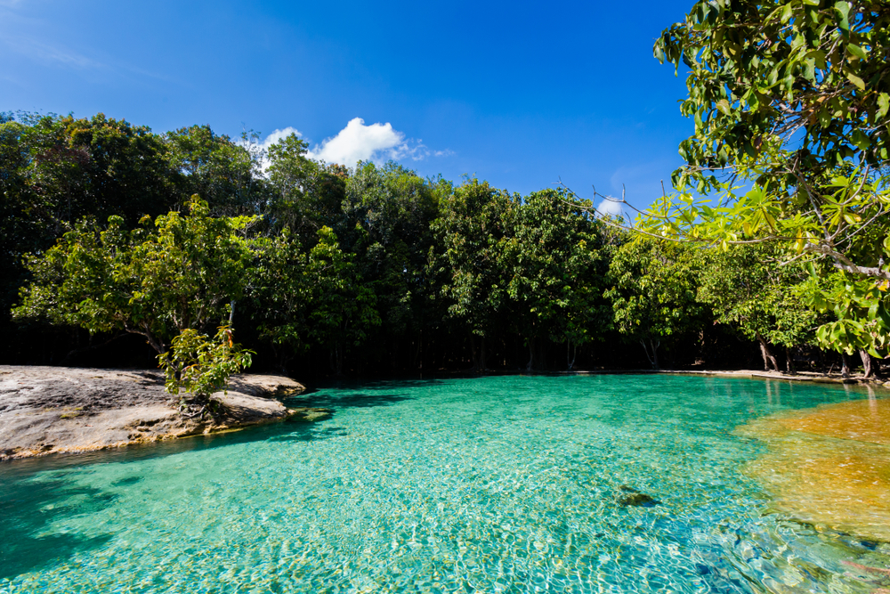 View,On,Emerald,Pool,In,Krabi,In,Southern,Thailand.,Landscape